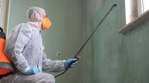 Best Mold Damage Restoration  in Union, OR